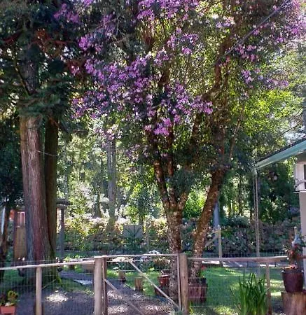 Haus Berg Vila São Francisco de Paula Exterior foto